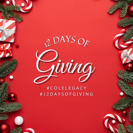 12 Days of Giving